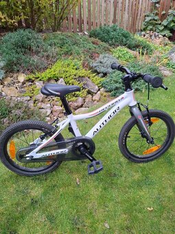 Author Record 16 - 3