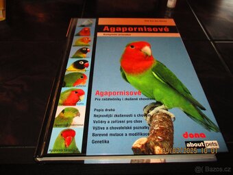 AGAPORNISOVÉ - 3