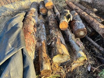 Palivové dřevo - 3