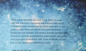 David Wilcock - Klíč zvaný synchronicita - 3