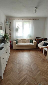 Pronájem bytu 2+1 Velké Opatovice - 3