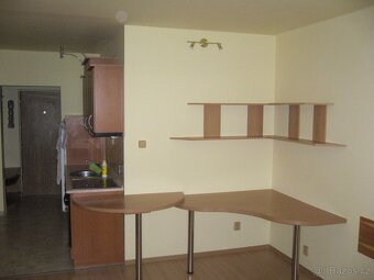 Pronájem bytu 1+kk - Močidla 2160 - 3