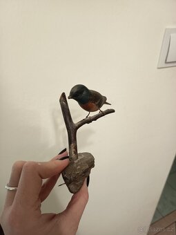 Vyřezávaný ptáček - 3