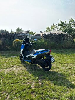 Kentoya maximus 125 - 3