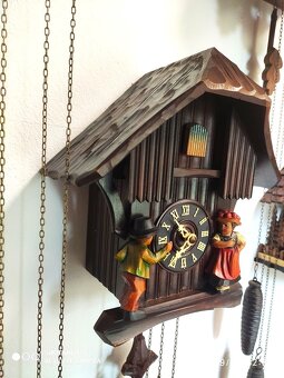 Starsi,  kukacky, Schwarzwald, funkcni - 3