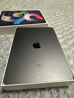 Apple iPad Air - 3