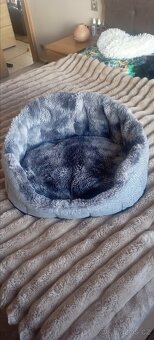 Pelíšek CASPER FOX 70cm - 3