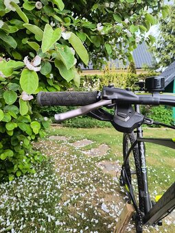 Mongoose Tyax expert 29 - 3