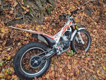 Beta EVO 300 2016 - 3