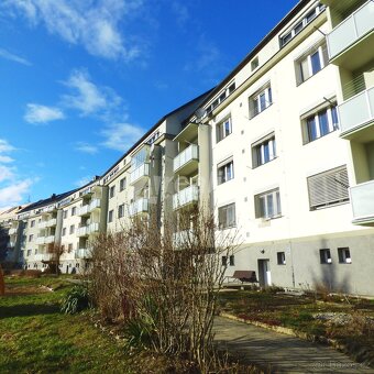 Pronájem slunného bytu 2+1, Náměšť nad Oslavou, ev.č. 02225 - 3