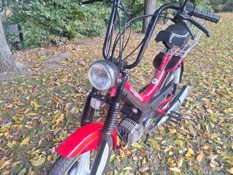 Manet korado v pěkném stavu - 3