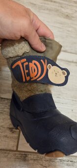 Sněhule McKinley - 3