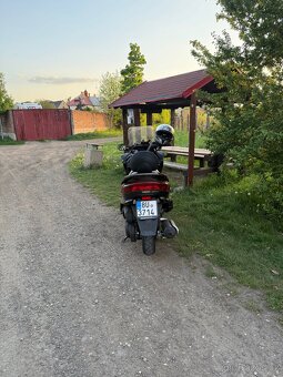 Yamaha Majesty 250 - 3