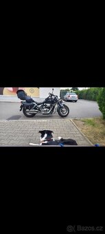 Suzuki Marauder vz 800 - 3