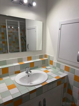 Pronájem bytu 3+1 - 3