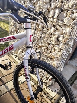 Kolo core niper vel.20 - 3