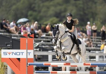 Summer: 2.a 5. celkové místo v AJT (90/100cm) ročníku 2024 - 3