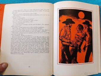 DÍTĚ DIVOČINY - M.K.Rawling - 3