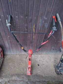 Terra Vari riditka - 3