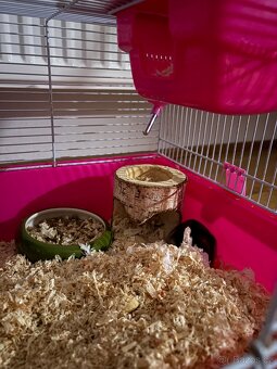 Daruji Křečka Džungarského včetně klece - 3