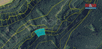 Prodej lesa, 5021 m², Proseč - 3