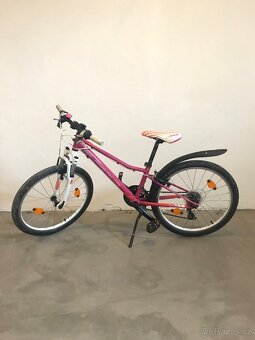 Superior Modo 24 8-13 let - 3