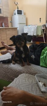 Nás krasavec čaky - 3