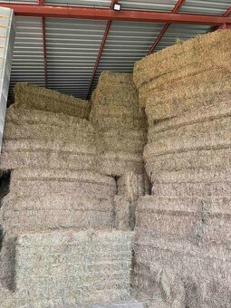 Prodám hranaté senové balíky - 3