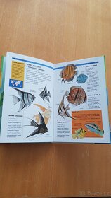 Akvarijní rybičky - 3