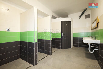 Pronájem ubytovacího zařízení, 300 m², Dalovice, Botanická - 3