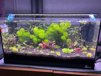 Akvárium Diversa akvarijní set Startup 60 černý 54l LED - 3
