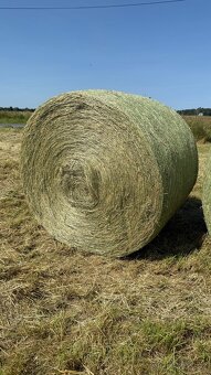 Letošní seno 150 - 3