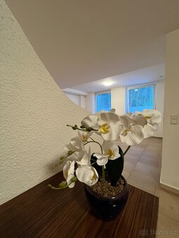 PRONÁJEM DESIGNOVÉHO BYTU s terasou v centru Holic - 3