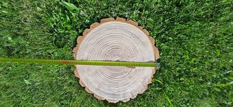 Zahradní nášlapy-umělý kámen, imitace dřeva - 3