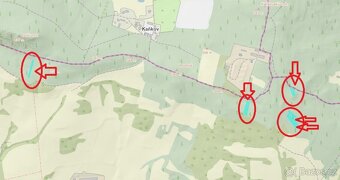 Prodám lesní pozemky v k.ú. Želenice u Mostu - 3