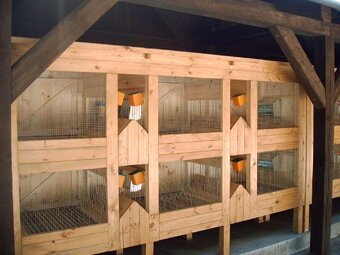králikárna  6 kotců - 3