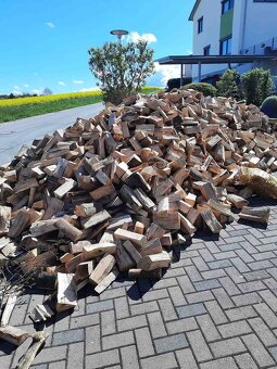 Palivové dřevo - 3