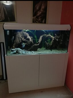 Akvarium 300l - 3