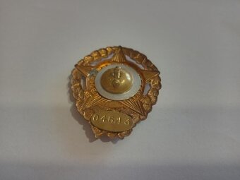 ODZNAK VZORNÝ DĚLOSTŘELEC - 3