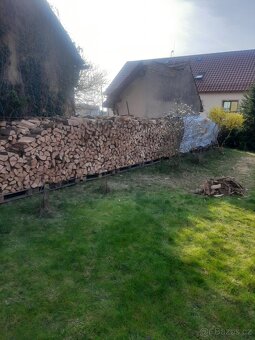 Suche palivove drevo - 3