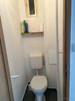 Pronájem bytu 1+1, Přerov, ul. Wurmova - 3