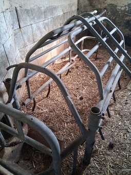 klec na prasnici - 3