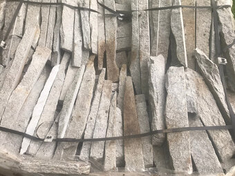 Balkánská rula šedá - filety - 3