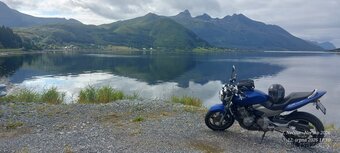 Honda CB600F Hornet - 3