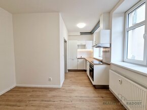Podnájem zrekonstruovaného bytu 1+kk, 19,5m2, Brno, Mathonov - 3
