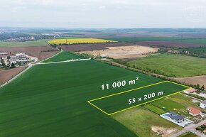 Prodej pozemku pro komerční výstavbu, 11 000 m2 - Tasovice - 3