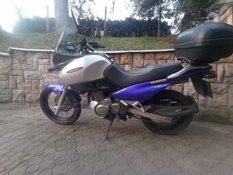 Suzuki XF 650 Freewind - 3