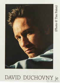 David Duchovny, Kráva nebeská - 3