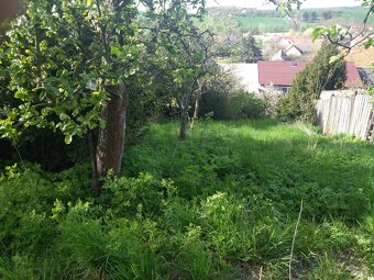 Pronájem zahrady 500 m² - Mšecké Žehrovice - 3