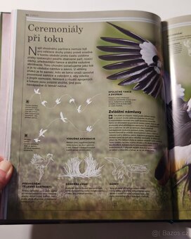 Ottova encyklopedie ZVÍŘATA - NOVÁ - 3